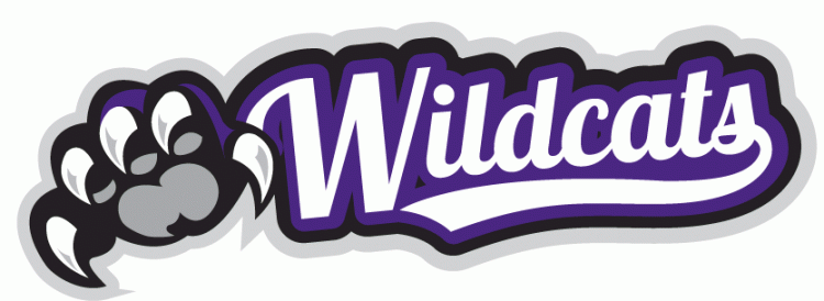 Weber State Wildcats 2012-Pres Misc Logo iron on transfers for fabric